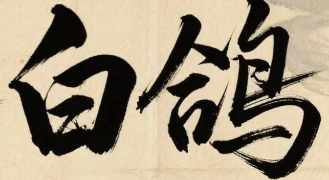 白鸽单机